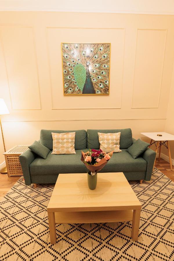 Cozy Apartment In The Historical City Center 蒂米什瓦拉 外观 照片
