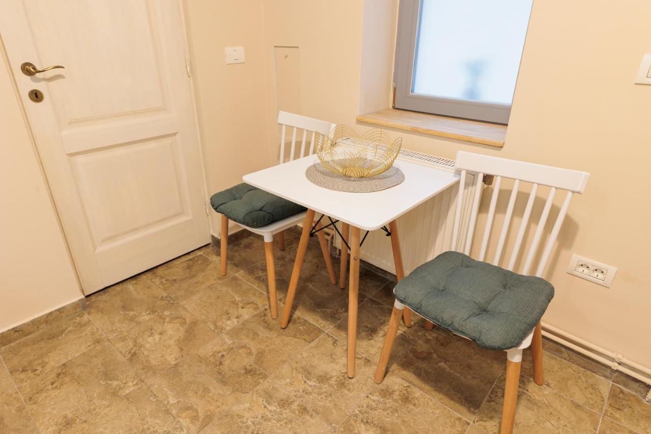 Cozy Apartment In The Historical City Center 蒂米什瓦拉 外观 照片